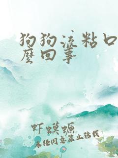 狗狗流粘口水怎么回事