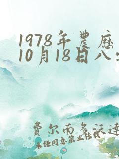 1978年农历10月18日八字算命