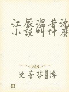 江厌温昔沈怀川小说叫什么名字