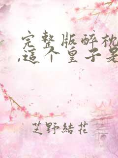 完整版醉枕江山,这个皇子是老六