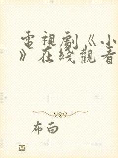 电视剧《小丈夫》在线观看