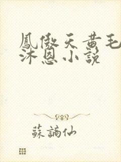 凤傲天黄毛反派沐恩小说