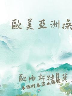 欧美亚洲操网站