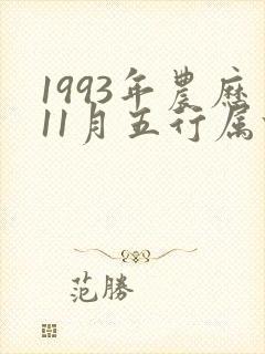 1993年农历11月五行属什么