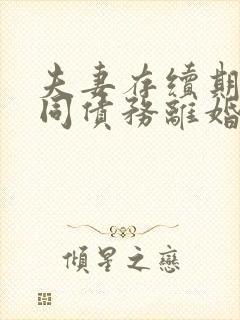 夫妻存续期间共同债务离婚后怎么处理