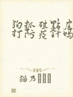 狗抓破点皮需要打防疫针吗?