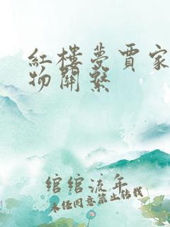 红楼梦贾家的人物关系