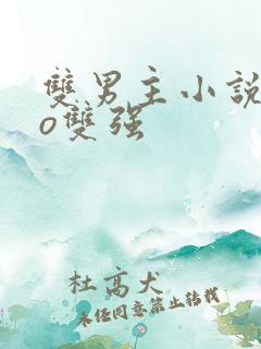 双男主小说abo双强