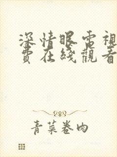 深情眼电视剧免费在线观看全集高清