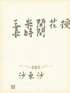 玉米开花授粉多长时间