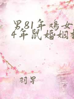 男81年鸡女84年鼠婚姻相配吗