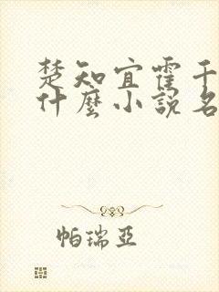 楚知宜霍千绝是什么小说名字