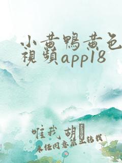 小黄鸭黄色污污视频app18
