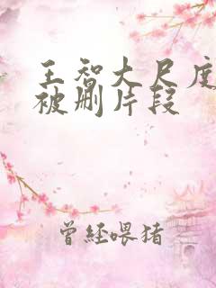 王智大尺度床戏被删片段