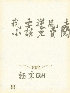 我要逆风去原著小说免费阅读