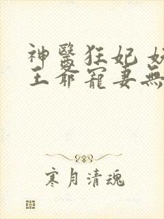 神医狂妃 妖孽王爷宠妻无度