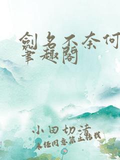 剑名不奈何淮上笔趣阁