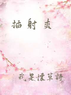 插 射 爽