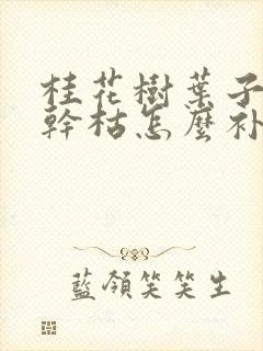 桂花树叶子发黄干枯怎么补救