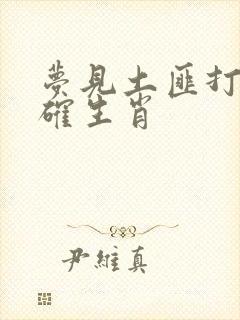 梦见土匪打一准确生肖