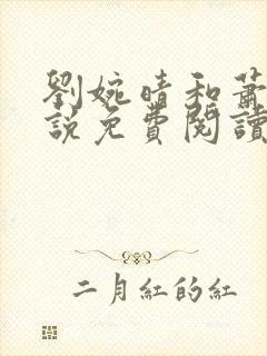 刘婉晴和萧流小说免费阅读