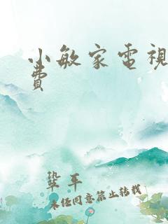 小敏家电视剧免费