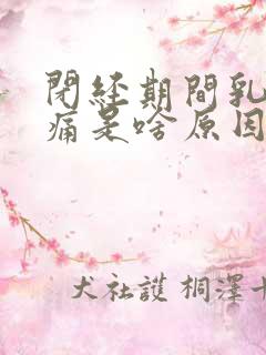 闭经期间乳房胀痛是啥原因