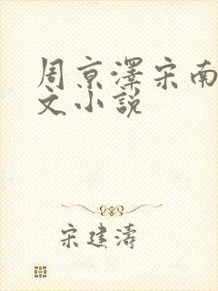 周京泽宋南夕全文小说