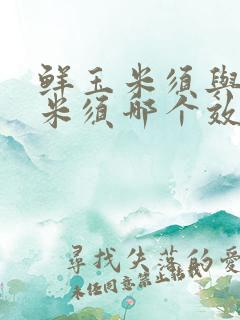 鲜玉米须与干玉米须哪个效果好