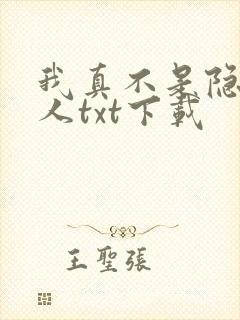 我真不是隐世高人txt下载