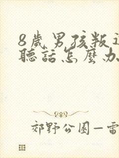 8岁男孩叛逆不听话怎么办