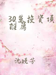 30万投资项目推荐