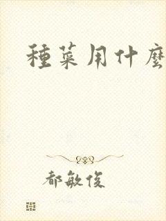 种菜用什么肥好