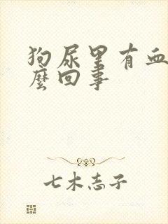 狗尿里有血是怎么回事