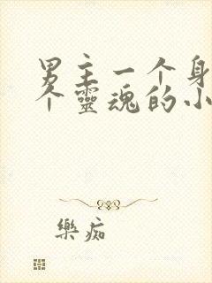 男主一个身体两个灵魂的小说