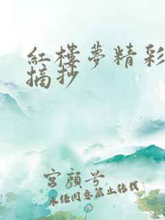 红楼梦精彩句段摘抄