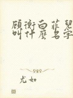 顾衡白菲儿小说叫什么名字