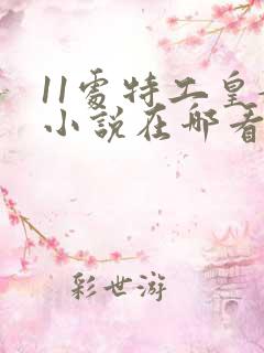 11处特工皇妃小说在哪看