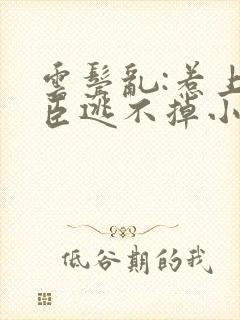云鬓乱:惹上奸臣逃不掉小说免费阅读