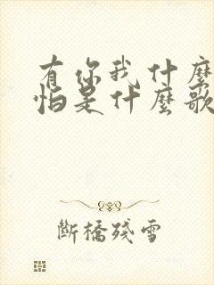 有你我什么都不怕是什么歌