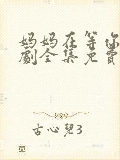 妈妈在等你电视剧全集免费完整版
