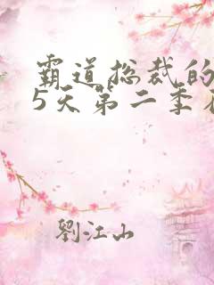 霸道总裁的365天第二季在线