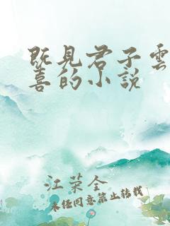 既见君子云胡不喜的小说