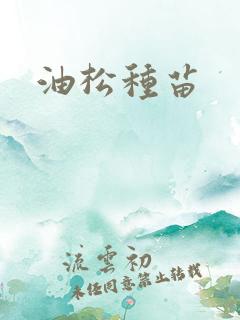 油松种苗