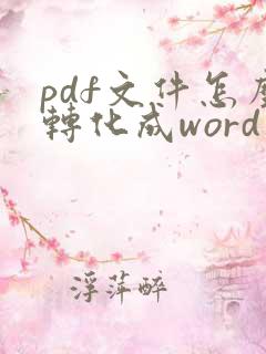 pdf文件怎么转化成word文档