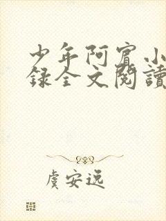 少年阿宾小说目录全文阅读无弹窗