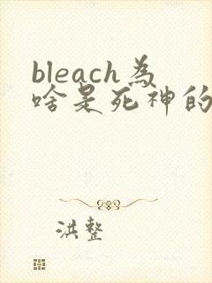 bleach为啥是死神的意思