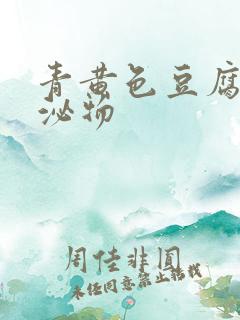 青黄色豆腐渣分泌物