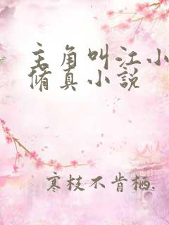 主角叫江小白的修真小说