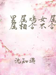男属鸡女属蛇的属相合不合